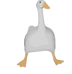 Duck animation